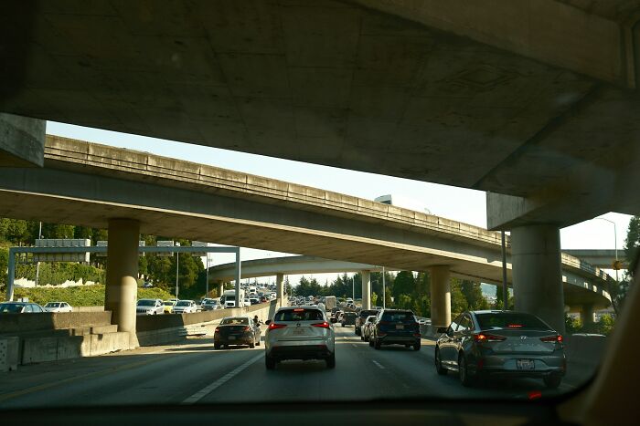 Wait, People Saw WHAT in Public?! 35 Wild Stories You Won’t Believe