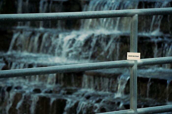 Wait, People Saw WHAT in Public?! 35 Wild Stories You Won’t Believe
