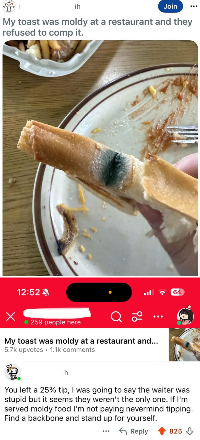 Tipped 25% After Being Served Moldy Bread? Say WHAT!