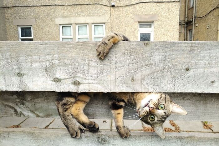Just Hanging Out, NBD