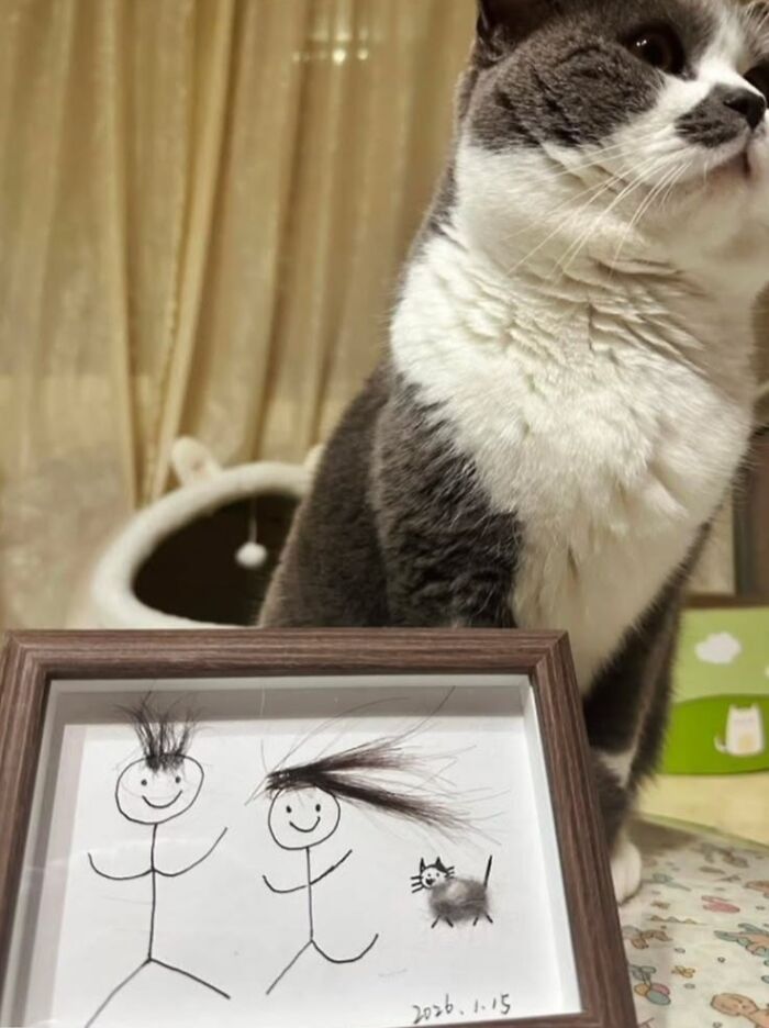When Animal Photos Go Hilariously Wrong (Or Right, Who’s Counting?)