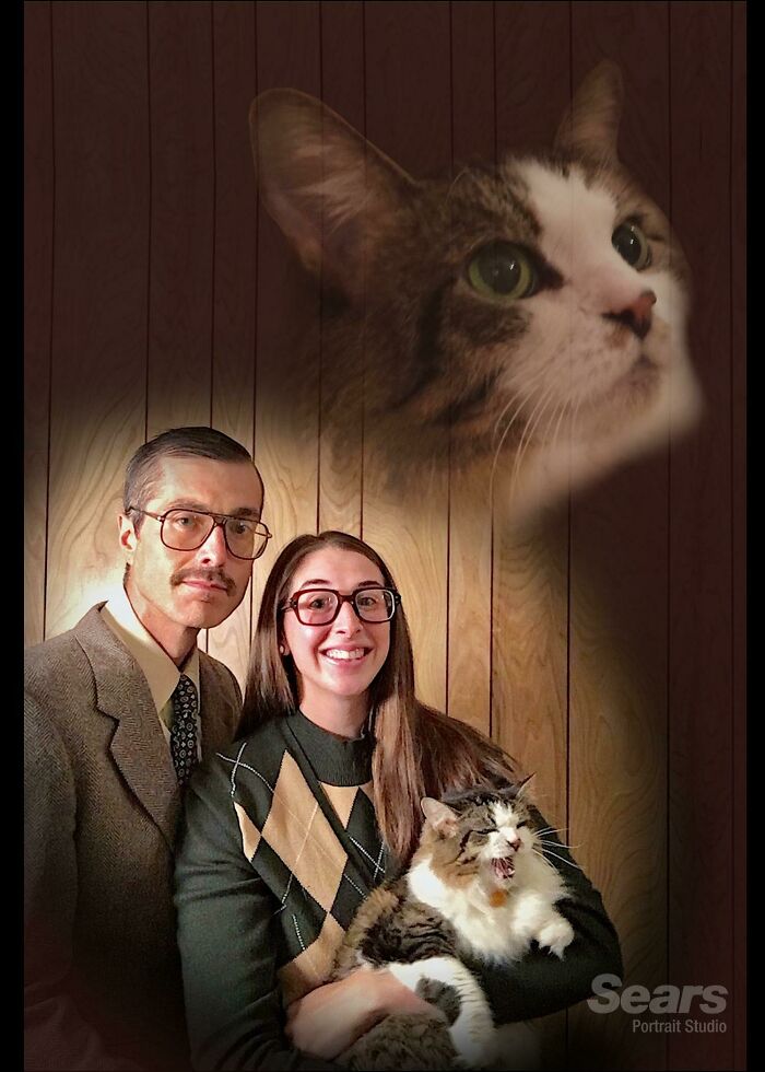 When Animal Photos Go Hilariously Wrong (Or Right, Who’s Counting?)