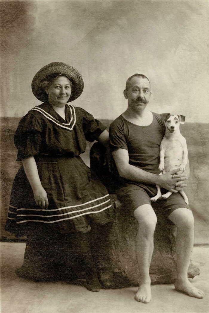 When Animal Photos Go Hilariously Wrong (Or Right, Who’s Counting?)