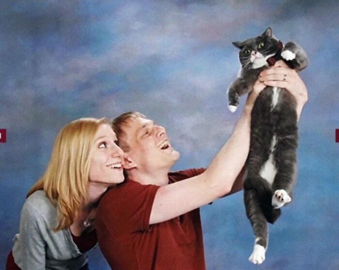 When Animal Photos Go Hilariously Wrong (Or Right, Who’s Counting?)