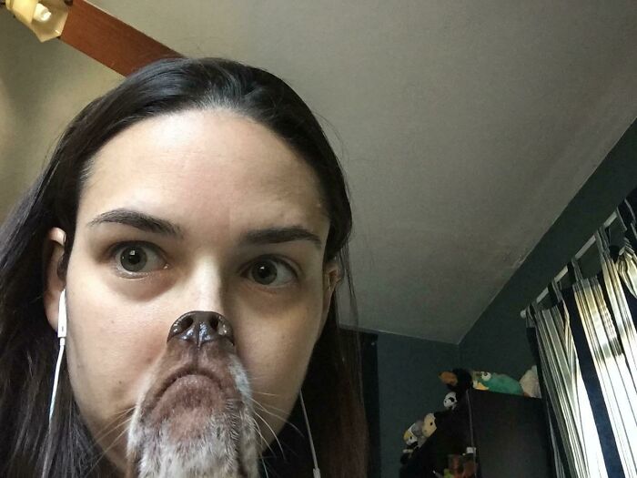 When Animal Photos Go Hilariously Wrong (Or Right, Who’s Counting?)