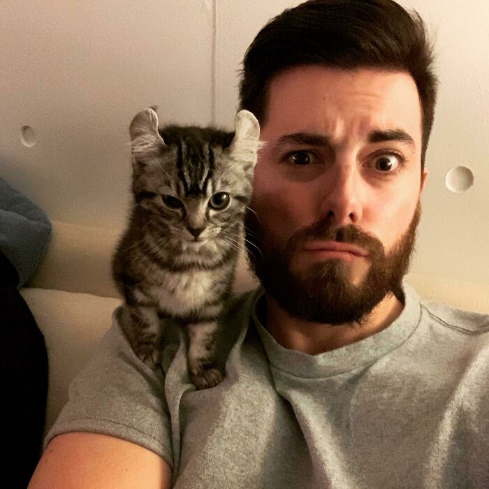 When Animal Photos Go Hilariously Wrong (Or Right, Who’s Counting?)