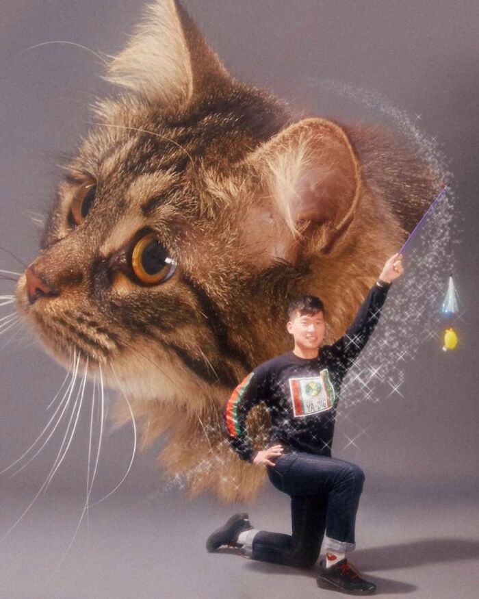 When Animal Photos Go Hilariously Wrong (Or Right, Who’s Counting?)