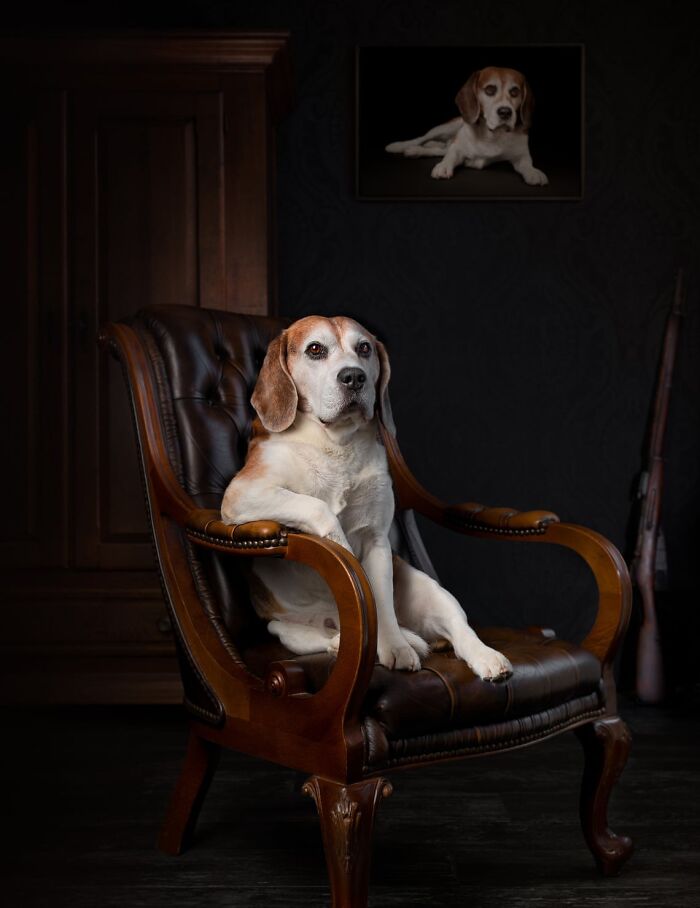 When Animal Photos Go Hilariously Wrong (Or Right, Who’s Counting?)