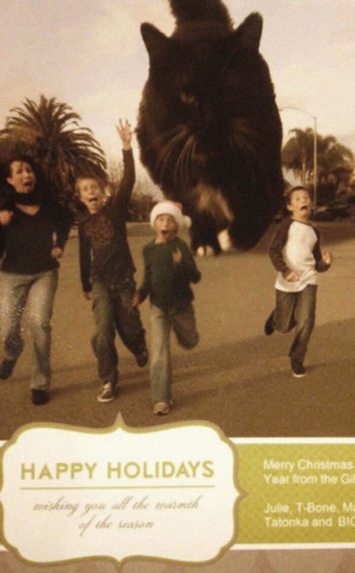 When Animal Photos Go Hilariously Wrong (Or Right, Who’s Counting?)