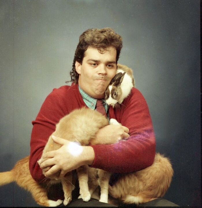 When Animal Photos Go Hilariously Wrong (Or Right, Who’s Counting?)