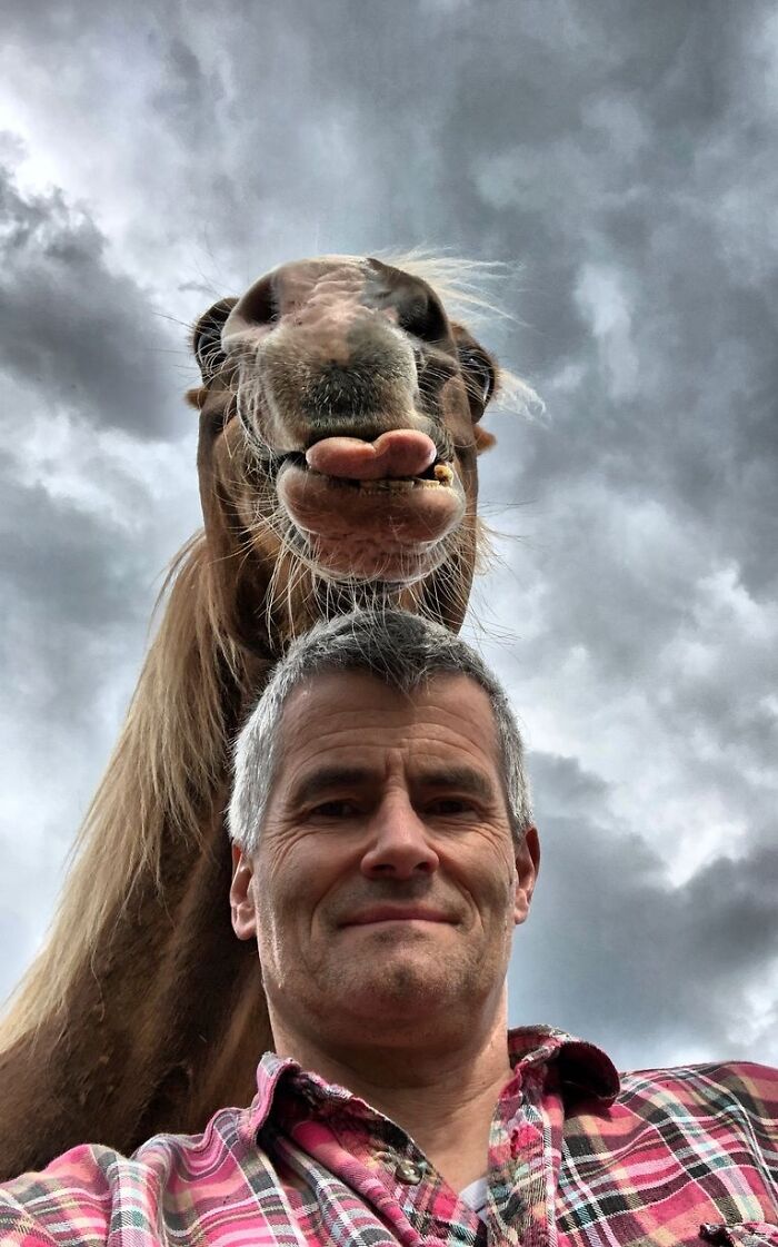 When Animal Photos Go Hilariously Wrong (Or Right, Who’s Counting?)