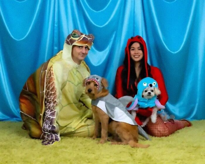 When Animal Photos Go Hilariously Wrong (Or Right, Who’s Counting?)