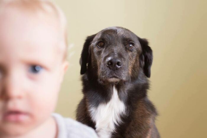 When Animal Photos Go Hilariously Wrong (Or Right, Who’s Counting?)