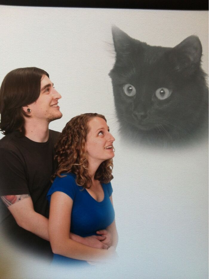 When Animal Photos Go Hilariously Wrong (Or Right, Who’s Counting?)