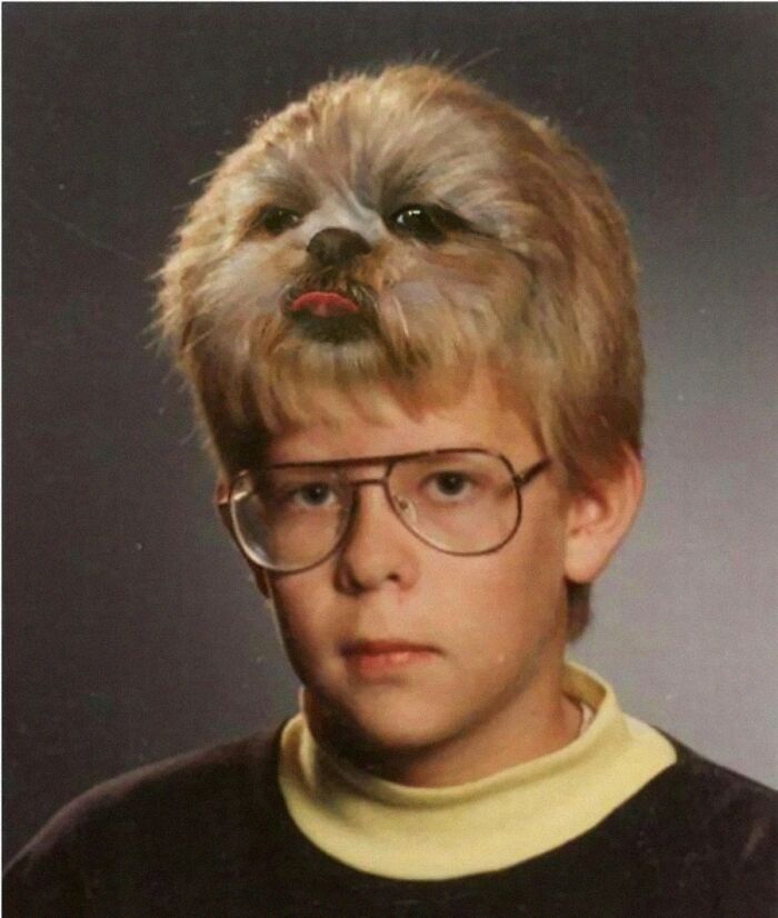 When Animal Photos Go Hilariously Wrong (Or Right, Who’s Counting?)