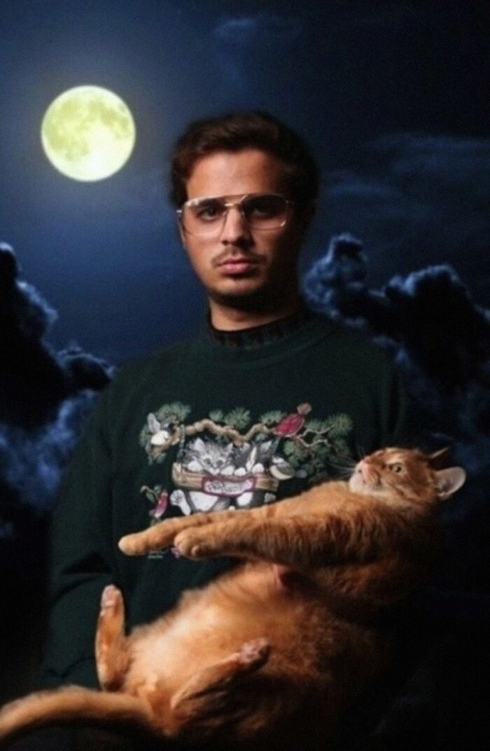 When Animal Photos Go Hilariously Wrong (Or Right, Who’s Counting?)
