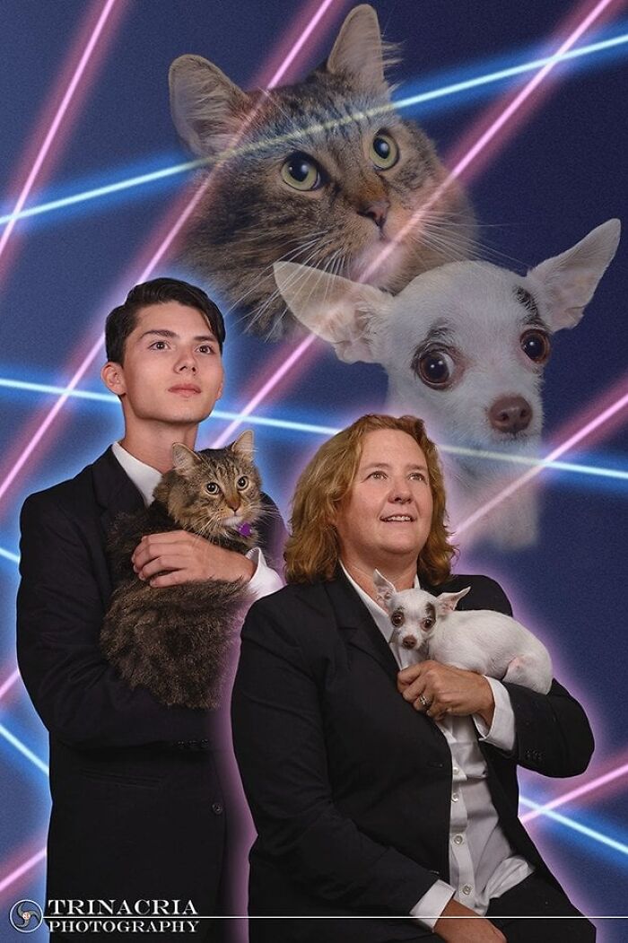 When Animal Photos Go Hilariously Wrong (Or Right, Who’s Counting?)
