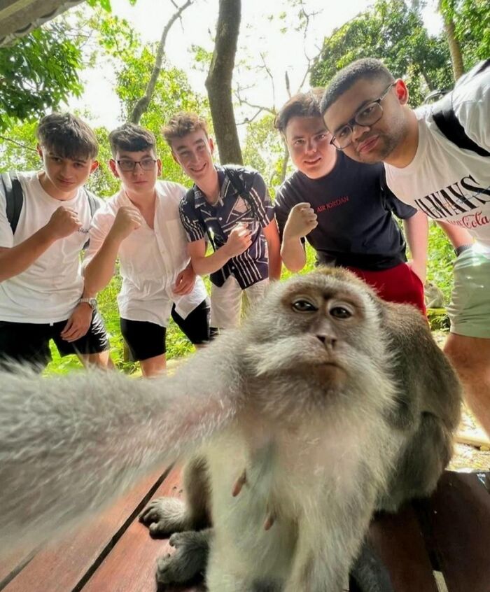 When Animal Photos Go Hilariously Wrong (Or Right, Who’s Counting?)