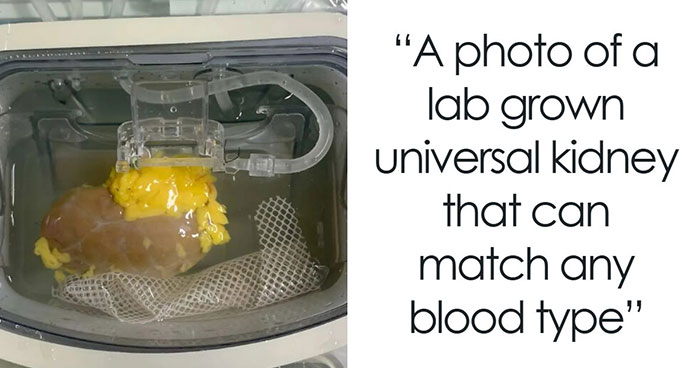 Wait, They Actually Ranked These Totally Mind-Blowing Pics?!