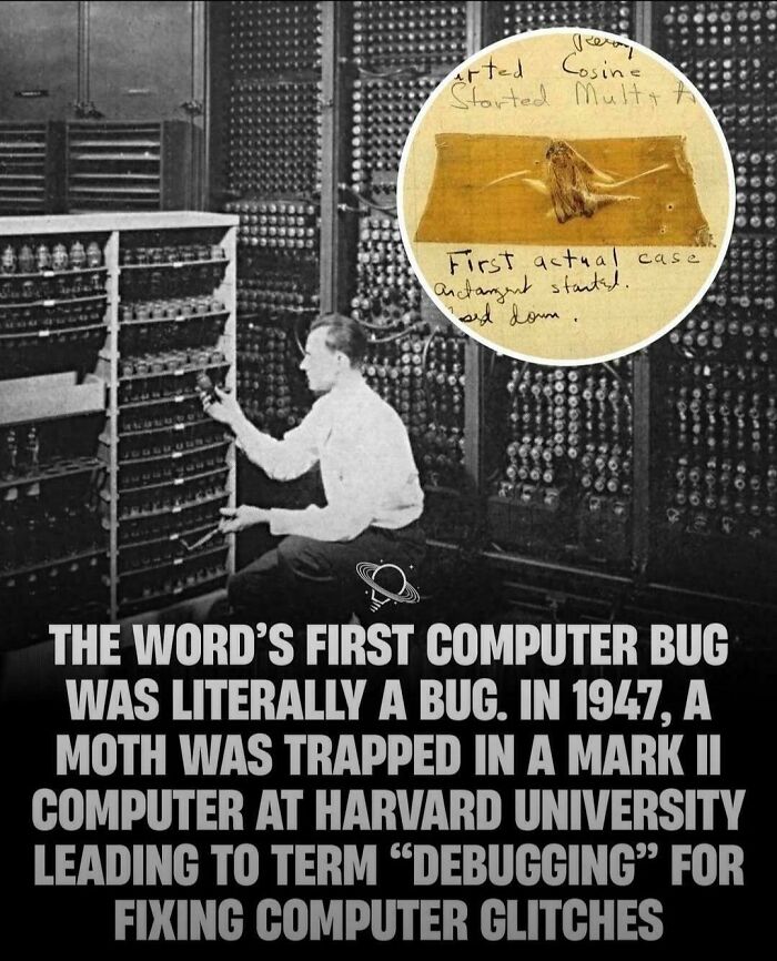Meet the First ‘Computer Bug’ (It Was an Actual Moth)