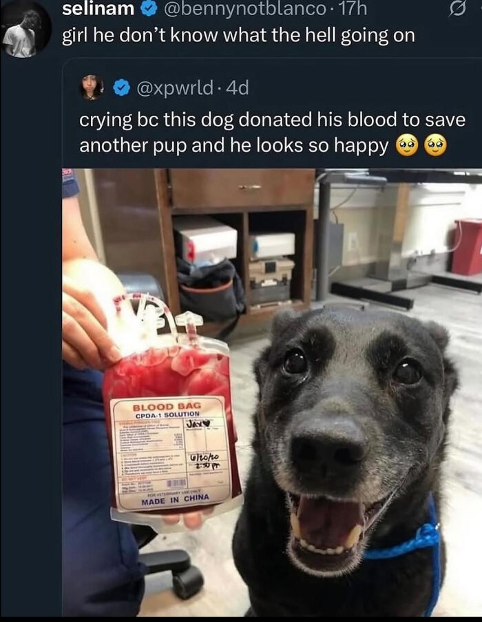 This Guy’s Pure Happiness Is Contagious