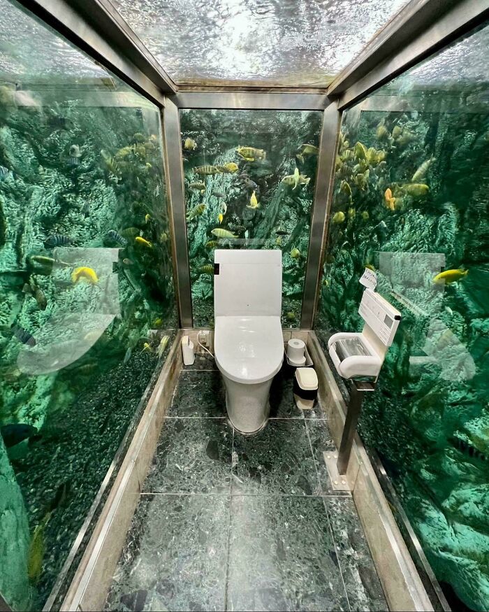 The Aquarium Has a Restroom? Wait, What?