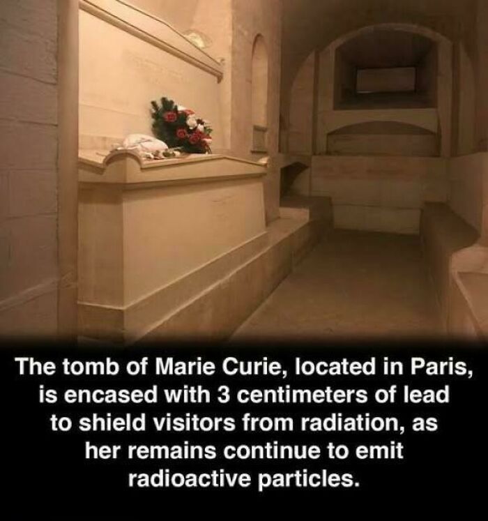 Marie Curie’s Lead-Lined Coffin Is Still Radioactive