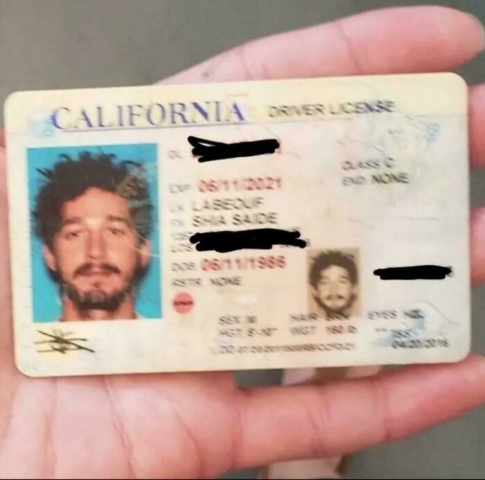 Someone Found Shia LaBeouf’s Driver License (Expired for 5 Years!)