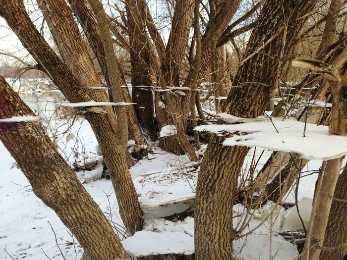 Frozen Flood Creates Epic Ice Art
