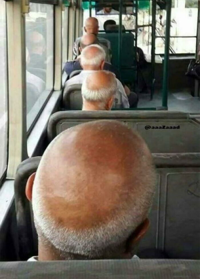 This Bus Is Going Bald!