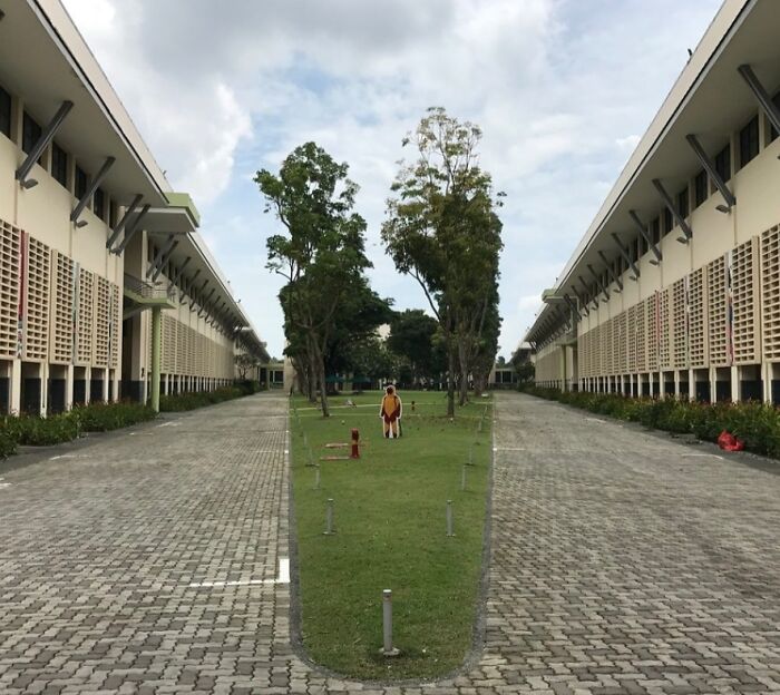 Grass That Looks Like It’s in a Cup