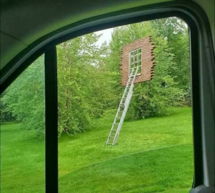 Who in the World Put This Here?!