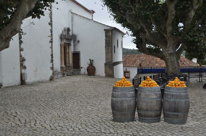 Overcast Day Makes Orange Barrels Look Photoshopped