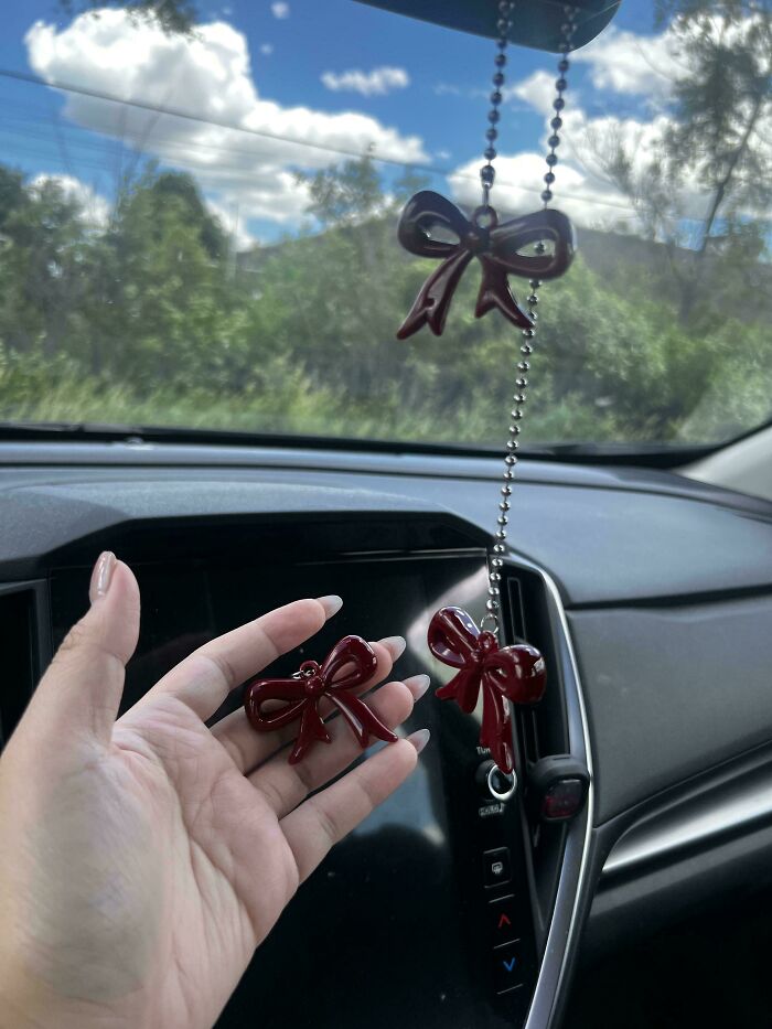 Thought My Car Ornament Broke But It’s Still Perfectly Intact!