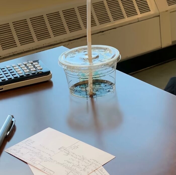 Yet Another Real-Life Matrix Glitch