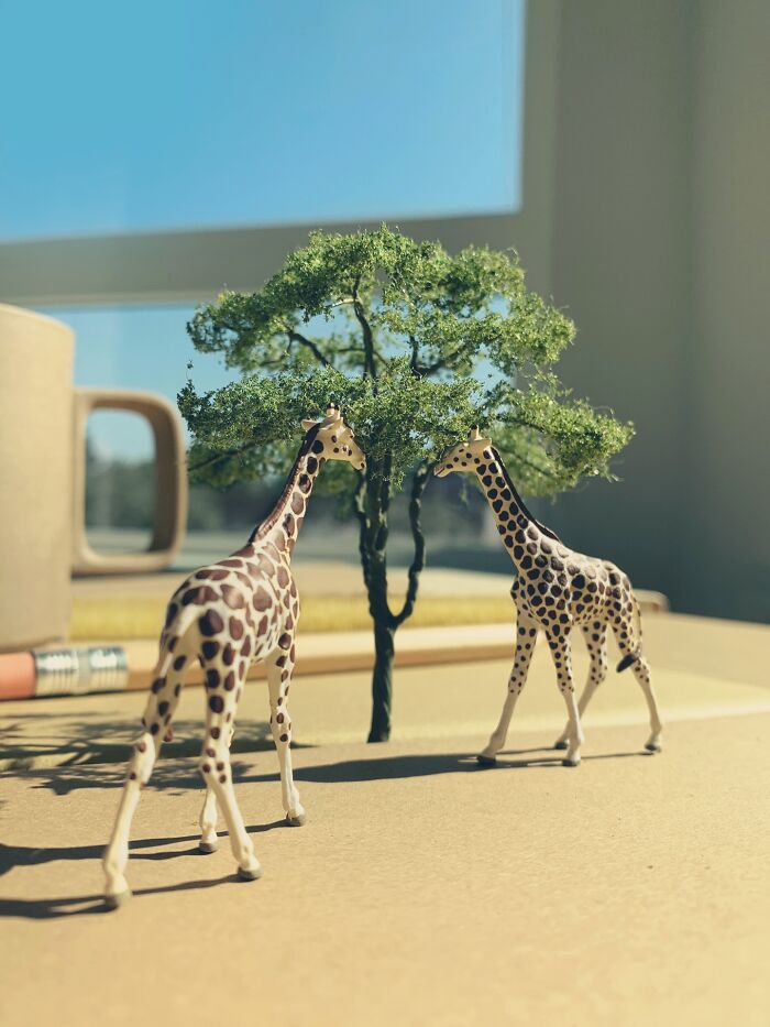"Earth Day Special: Tall, Spotted, and Super Cute Giraffes"