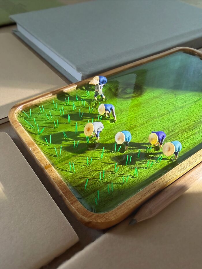 "Planting Hope Like a Boss in Life’s Giant Rice Field"