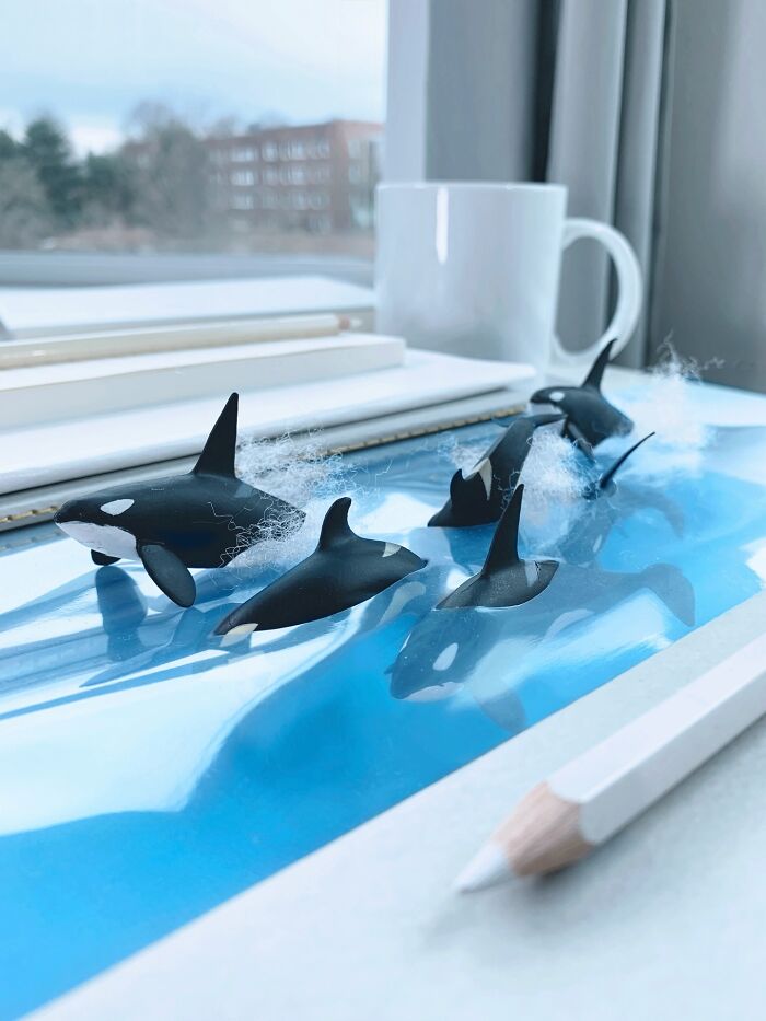 "Earth Day Special: Wowza Orcas!"