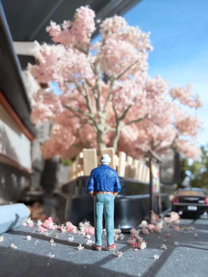 "Counting Life Changes as Cherry Blossoms Bloom"