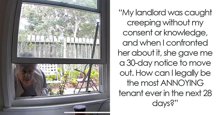 The Wildest Landlord Fails That’ll Make You Feel Better About Yours