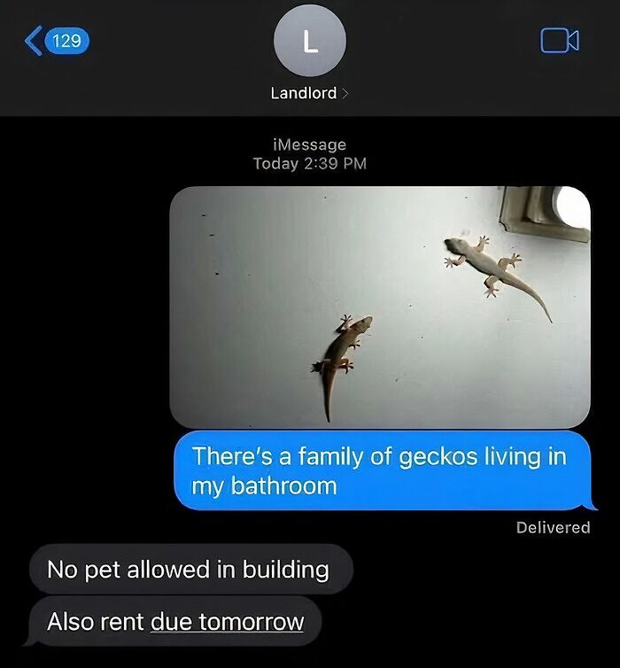 No Chill Landlord Alert