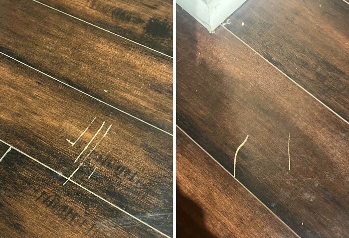 Landlord Wants $8,000 To Replace Floors Because Of Scratches
