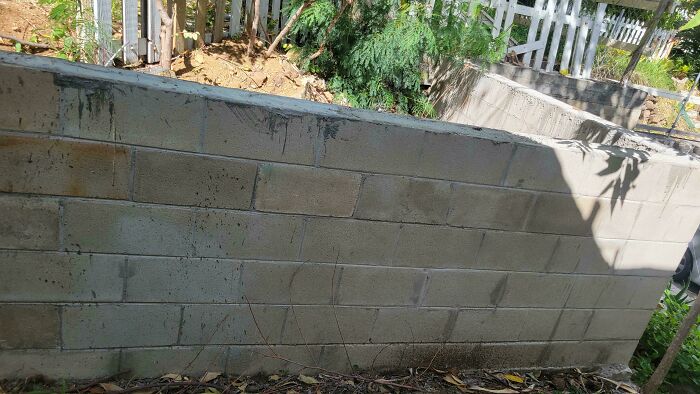 Landlord Ditches My 3-Year Veggie Garden For A Wall—No Notice