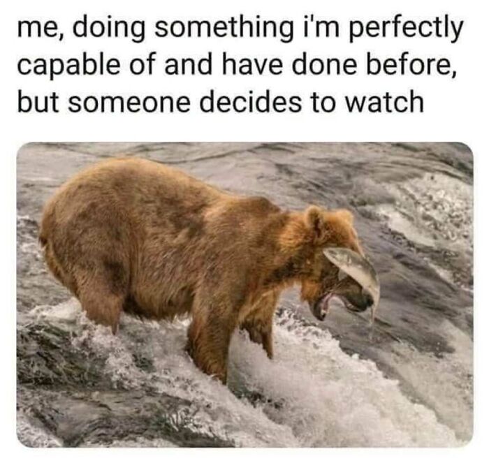 50 Animal Memes That Will Totally Brighten Your Day (No Kidding!)
