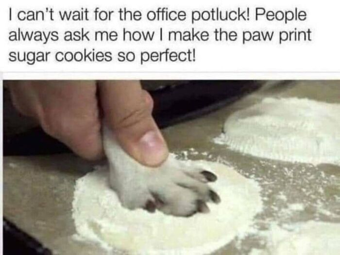 50 Animal Memes That Will Totally Brighten Your Day (No Kidding!)