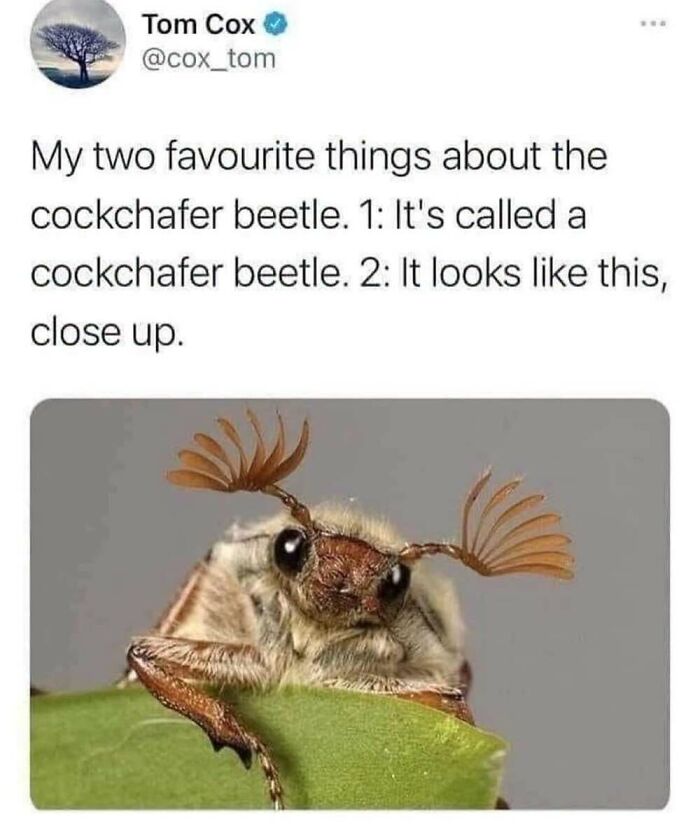 50 Animal Memes That Will Totally Brighten Your Day (No Kidding!)