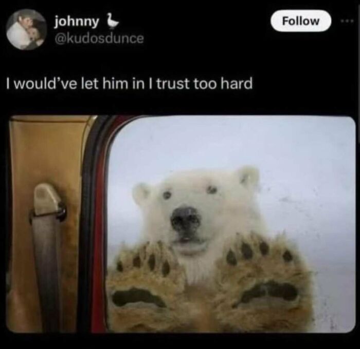 50 Animal Memes That Will Totally Brighten Your Day (No Kidding!)