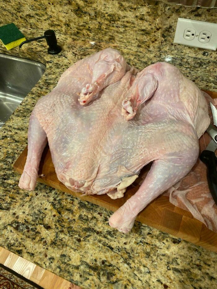 Bro’s Turkey Disaster — Oops!