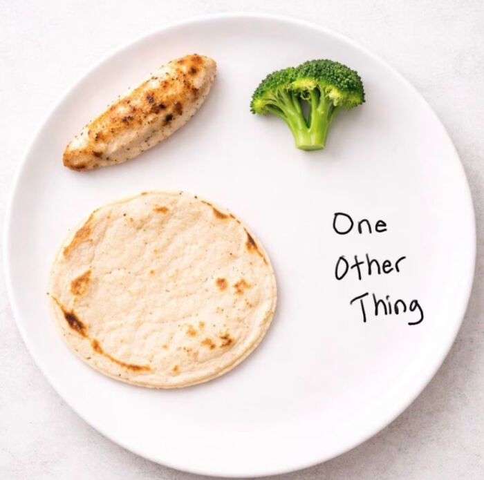 $3 Meal Made By Government Simulations - Yikes