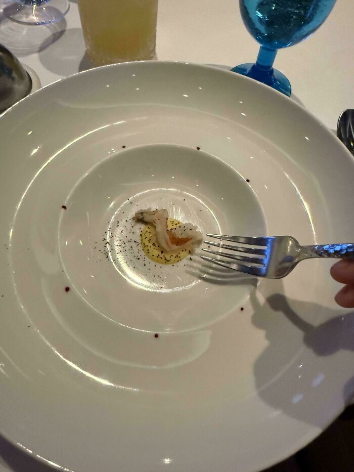 Our Fancy Resort Starter Looked Suspicious